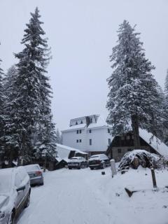 MASSIV Kopaonik centar lux apartmani - Kopaonik - 8
