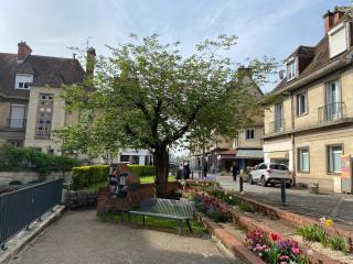 Pause En Seine- Appartement en duplex - Caudebec-en-Caux - 6