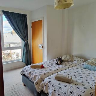Homely Spacious 3 bedrooms duplex with roof-top next to Victoria Park & regent's canal in vibrant East End London - Londra - 4