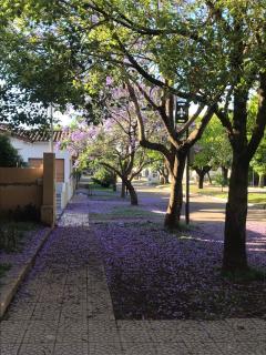 Boulevard Alsina 5 - San Antonio de Areco - 8