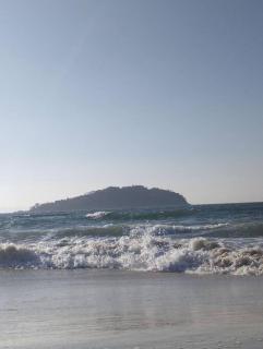 Cobertura há 50 metros da praia Canasvieiras - Florianópolis - 7