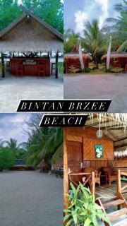 Bintan Brzee Beach in Bintan Island - Bungalow 4 - Berakit - 0