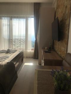 Apartman “N 17”Milmari-Kopaonik - Kopaonik - 5