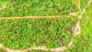 Mindo Garden Lodge and Wildlife Reserve - Mindo - 6