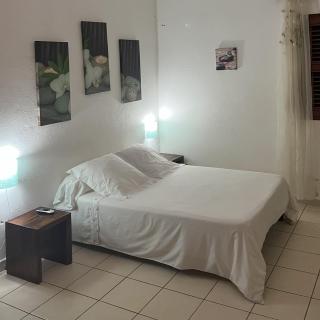 SAPHIR-Villa Le Colibri - Dubédou - 3
