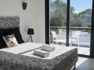 Architectural villa with swimming pool - Lorgues - 7