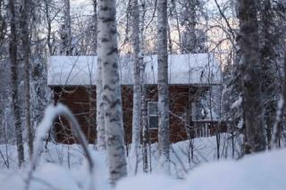 Discover a tranquil getaway near Talkeetna, AK - Willow - 1
