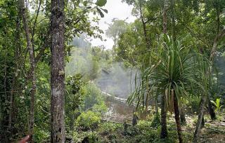 Marwes Homestay - - 7