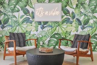 Birdrock Paradise w Private Pool& Spa, AC, fast WiFi & Yard! - San Diego - 3