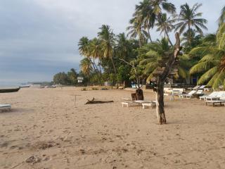 Bashi eco beach cabana - 3