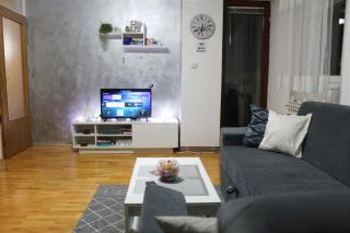 Apartman 19 - Pale - 5