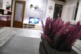 Apartman 19 - Pale - 1