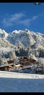 Tirol Juwel - Alpbach - 9