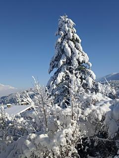 Gästehaus Alpenblick - 7