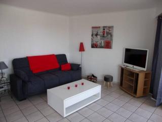 GOELETTE appartement climatisé, équipé du wifi et parking gratuit en haute saison - Canet-en-Roussillon - 0