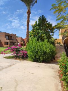 Chalet Stella Makadi Beach 5* - Hurghada - 3