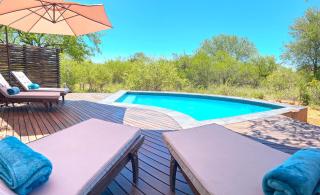 Wild Dog Guest Lodge - Hoedspruit - 1