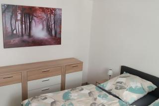 Ferienwohnung im Fachwerkhaus - Sebnitz - 2