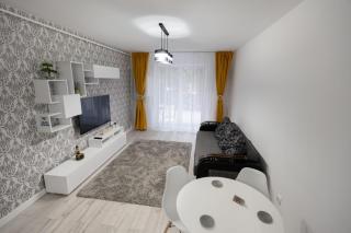 White DeLuxe Apartment - Ploieşti - 9