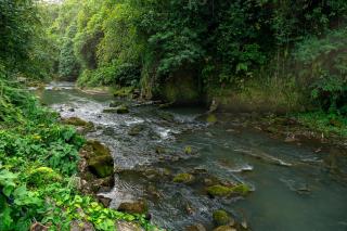 The Pyramid Ubud River Villas - Gianyar - 7