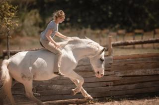 Communication Cheval - Montaigu-de-Quercy - 5