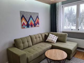 Apartman Snowflake - Odmah do Ski Lifta, Jahorina - Jahorina - 3