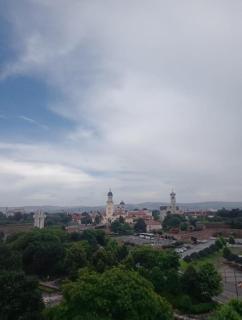 SilviaHouse - Alba Iulia - 0