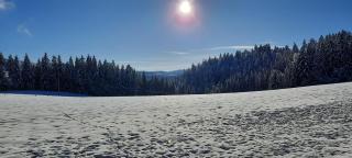 Outdoor & Relax Blackforest - Neukirch - 3