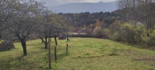 Hovit Holiday Home - Margahovit - 5