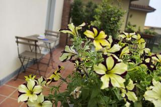 B&B Notti E Dintorni - Nicolosi - 5