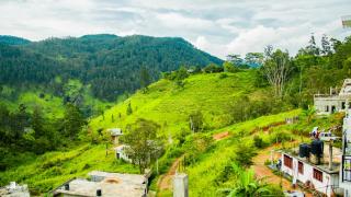 Bougainvillea Resort - Bandarawela - 2