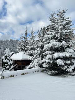 Guest House Kaspiy - Bukovel - 8