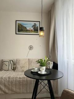 Morava apartmán s balkonem, parkování zdarma-Uherské Hradiště Šafaříkova 855 - 9