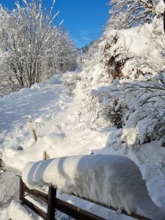 Ferienhaus Forsthof - 9