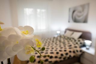 Apartman IVANA - private parking - Osijek - 2