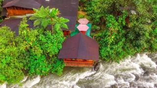 Mindo Garden Lodge and Wildlife Reserve - Mindo - 4