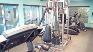 Best Western Plus Gallup Inn & Suites - Gallup - 1