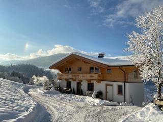 Apartment-Chalet Mödlinghof - Hopfgarten im Brixental - 7