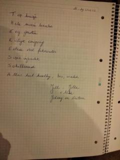 Theressa - Free Wifi en Netflix - 3