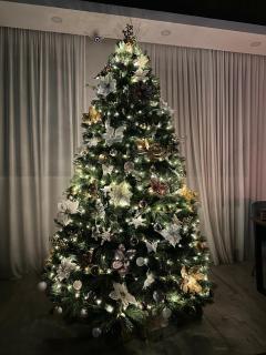 Hotel Axien Kazbegi - Kazbegi - 6