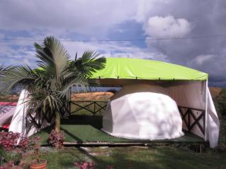 Hostel paraiso de colores - 8
