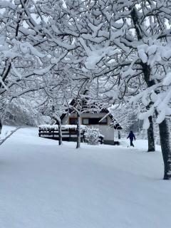 Holiday home Bozica - Lokve - 8