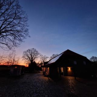 Moorparadies FRI-Südliches Friesland - 6