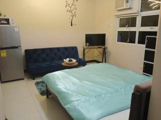 101 condo furnished walking distance NIAA 3 - Manila - 8