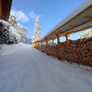 Ferienwohnung Pusteblume - Haus - 9