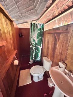 Eywa Lodge Amazonas - All inclusive - 7