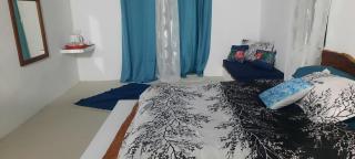 Le lataniers - Rodrigues Island - 7