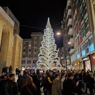 B&B PeRnotti - Bari - 9