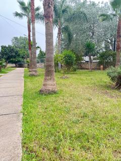 Appartement Spacieux et cosy A deux minutes du complexe sportif moulay abdellah - 4