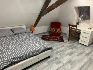 Chambre rustique avec double lit et sa salle de bain privée - Urbès - 0